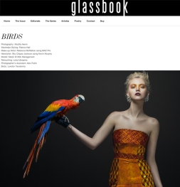 Glassbook BIRDS editorial