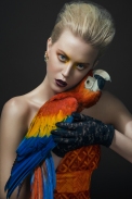 BIRDS editorial, Glassbook magazine, June 2014 - crystal Madrid earrings by Jolita Jewellery